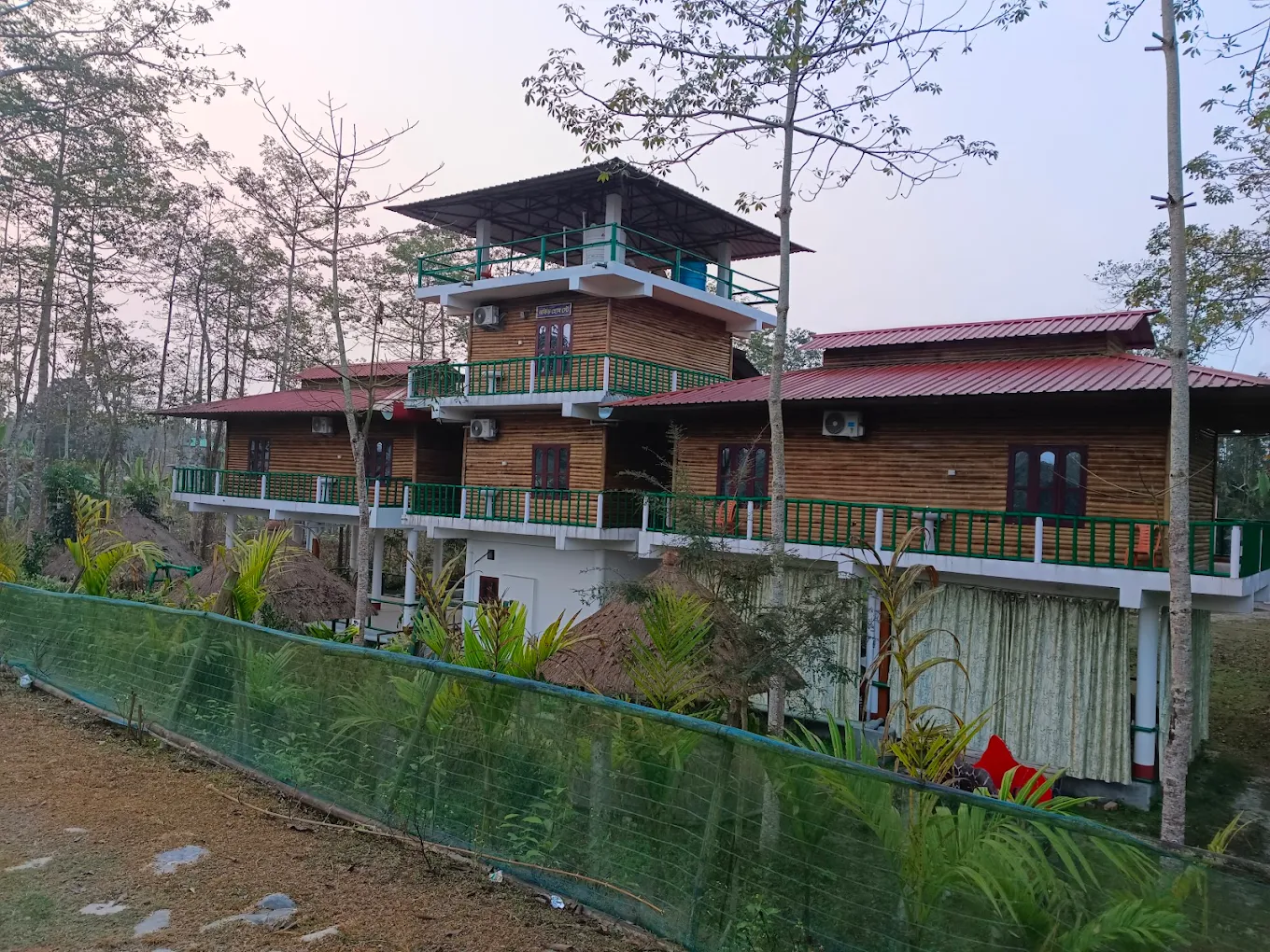 bamboo-jungle-view-4