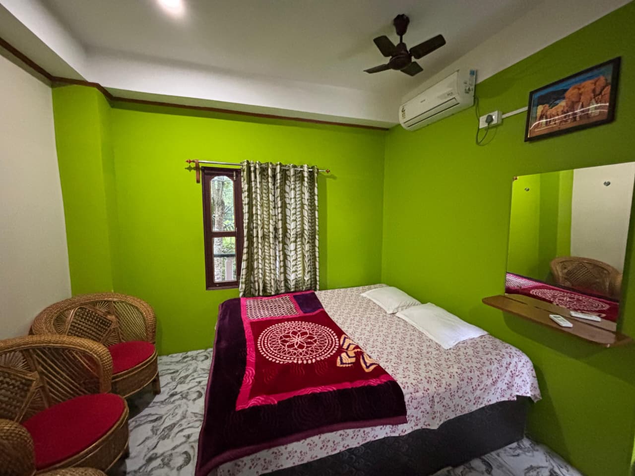 bamboo-jungle-view-2