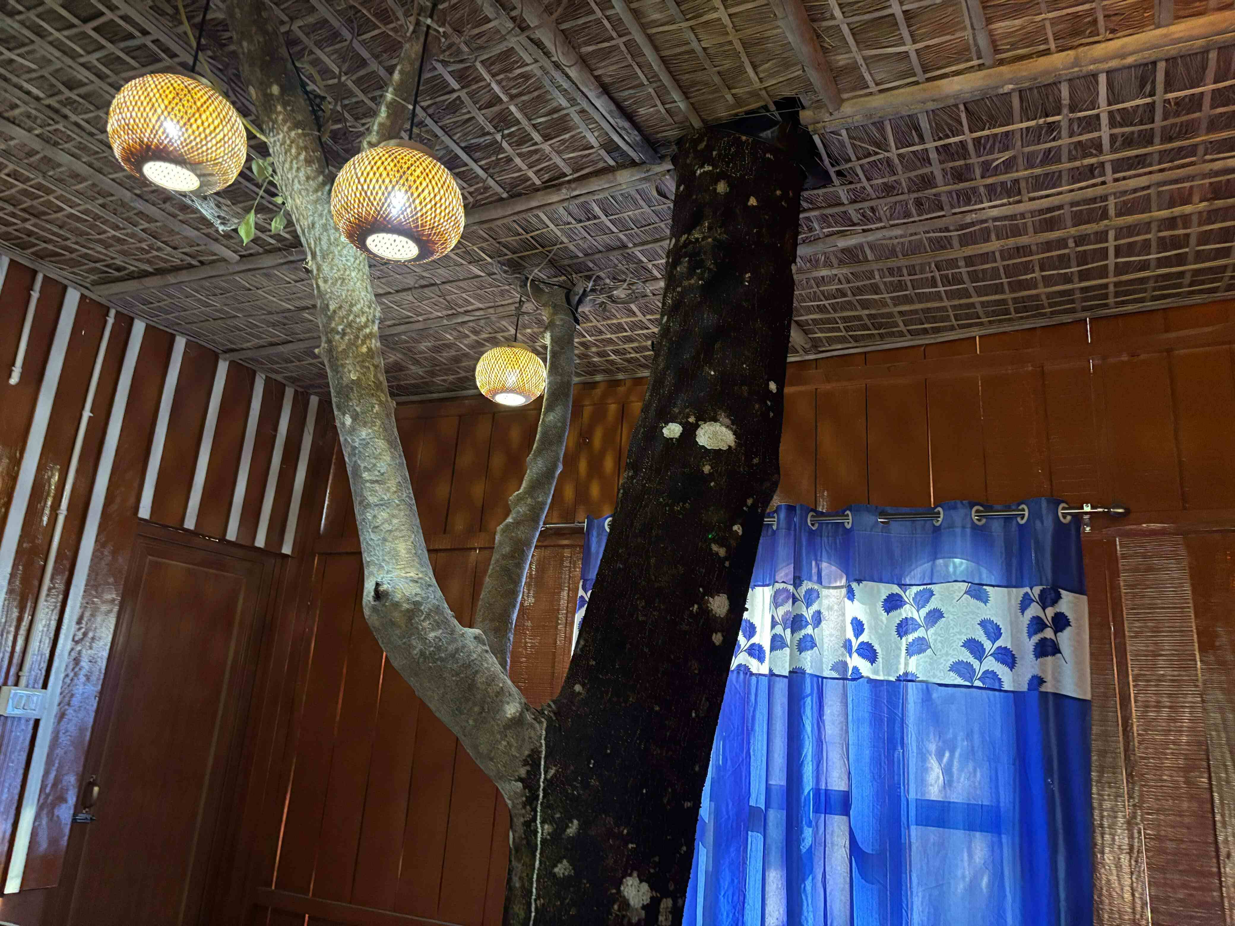 Tree House Room